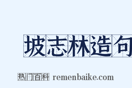 東坡志林造句是什么意思的图片